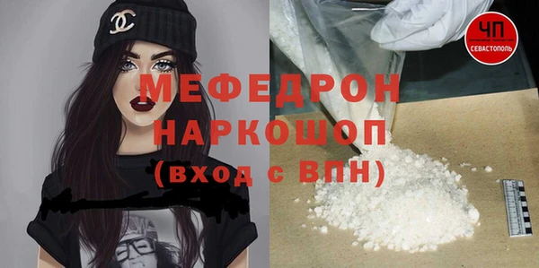 стаф Богданович