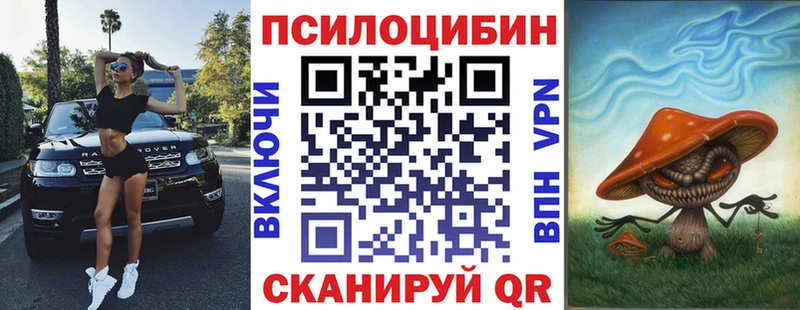 мега ссылка  Юрьев-Польский  Псилоцибиновые грибы Psilocybe 